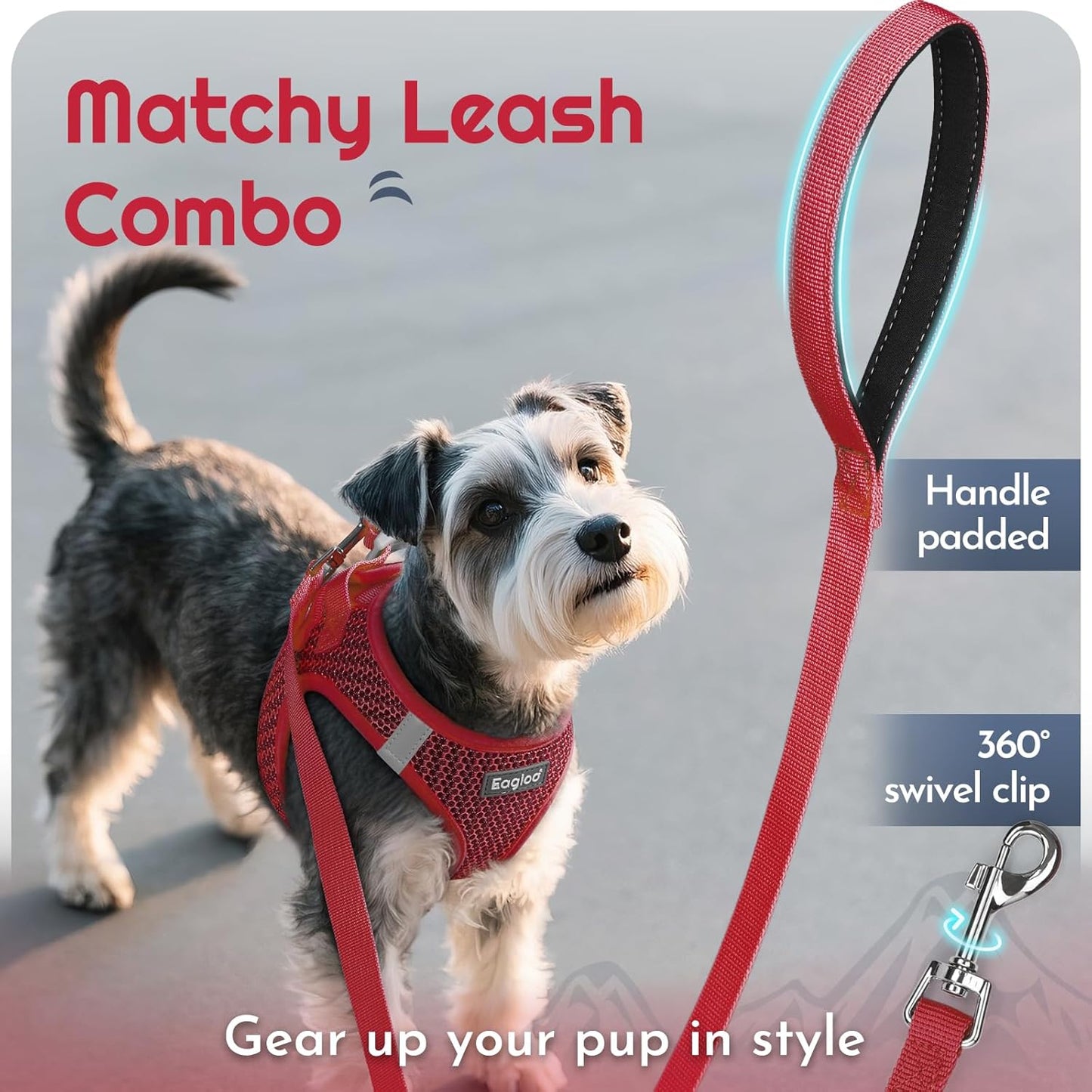 Eagloo Small Dog Harness and Leash Set, Step in Puppy Vest with Breathable Soft Mesh, Walking Reflective Pet Harness for Medium Small Dogs, Red, M