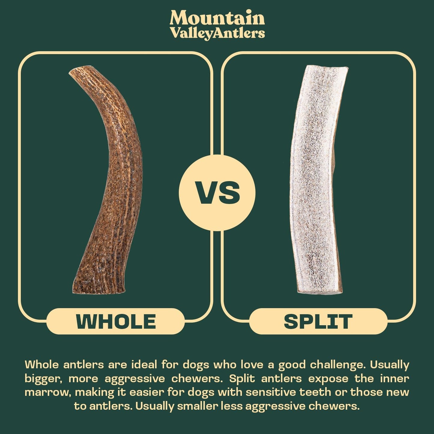 Mountain Valley Elk Antlers for Dogs - 100% Natural & Organic Chew for Aggressive Chewers, No Odor, No Mess, Long Lasting - Wild-Foraged Naturally Shed Antlers in USA - Grade A, Split Jumbo (1 Pack)