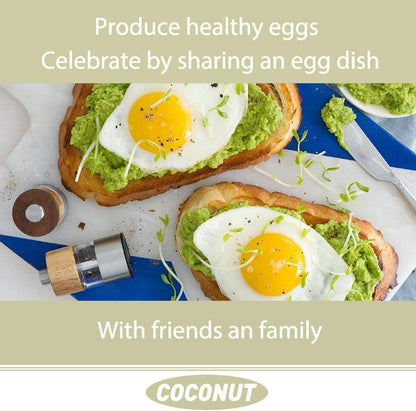 Non-GMO Dried Mealworms,2LB 100% Natural Large Size No Moisture,Treats for Birds Chickens Hedgehog Hamster Fish Reptile Turtles