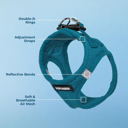 Best Pet Supplies Voyager Step-in Air Harness - All Weather Mesh, Reflective, No Pull Harness for Dogs, Cats - Secure with Hook & Loop Fastener, Buckle, Double D-Rings - Turquoise, L