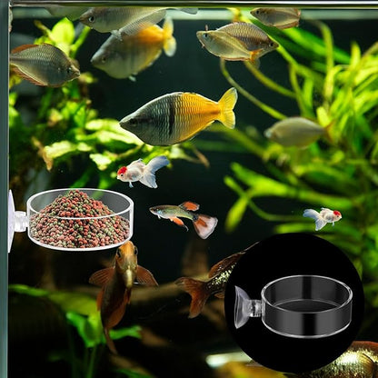 2Pcs Aquarium Shrimp Feeder Dish with Suction 75mm Round Clear Fish Tank Food Tray Container Glass Fish Tank Feeding Bowls for Aquarium Tanks Feeding Tray