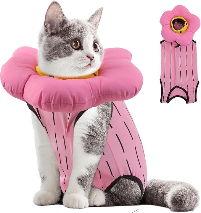 EMUST 2PCS Cat Recovery Suit and Cat Cone Collar Female, Cotton Breathable Cats Spay Recovery Suit, Adjustable Cute Flower Neck for Cats 8-16lb(Pink, L)