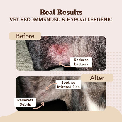 Natural Dog Company Skin Soother Bundle, (1) Dog Skin Wipes, 50 Count, (1) Travel Stick, 0.15 oz., Allergy and Itch Relief for Dogs, Dog Moisturizer for Dry Skin, Dog Lotion