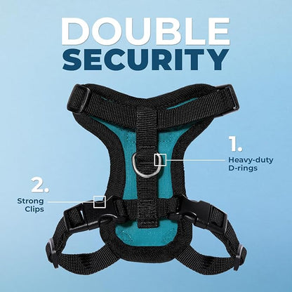Voyager Step-in Lock Adjustable Cat Harness w. Cat Leash Combo Set with Neoprene Handle 5ft - Supports Small, Medium and Large Breed Cats by Best Pet Supplies - Turquoise/Black Trim, XS