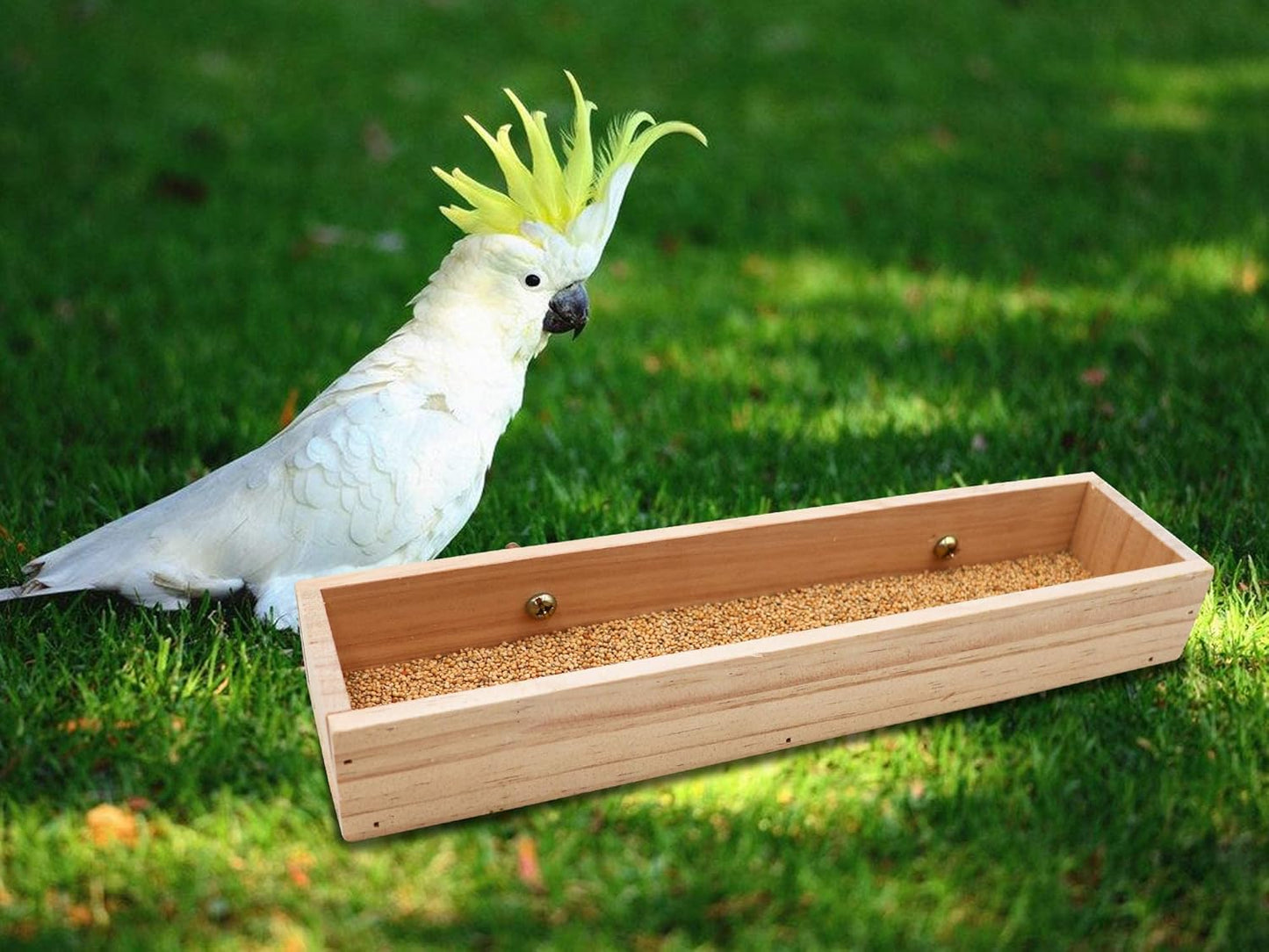 Bird Feeding Cups, Natural Wooden Parrot Perch Stand, Birds Food Dish, Parakeets Feeder Bowl, Cage Accessories for Small Animals Rat Hamster Guinea Pig Chinchillas Budgies Cockatiels Love Birds