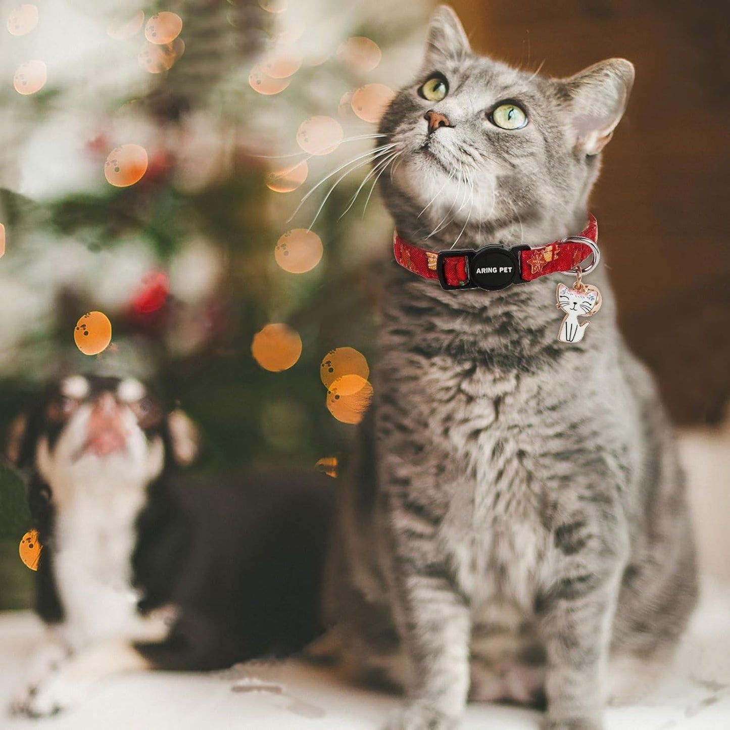 ARING PET 2 Pack Christmas Cat Collars-Cute Cat Collar Breakaway with Bell&Pendant, Adjustable Christmas Kitten Collars with Safety Buckle for Girl and Boy Cats