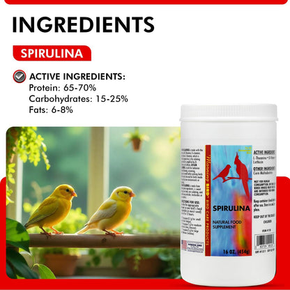 Morning Bird Spirulina, Supplement for Caged Birds, Organic Bird Food Supplement with Vitamins, Proteins, and Amino Acids for Parakeets, Cockatiels, Budgies, Finches, Canaries, and Parrots, 16 oz