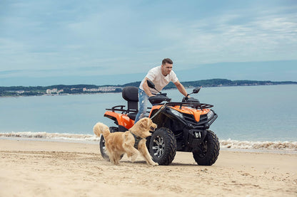 Dog Harness, No Pull Dogs Harness and Multi-Function Leash Set for Medium Dogs Easy Walk Everyday Adjustable Soft Dog Vest Harness Fashionable Dog Accessories Camouflage Green-L