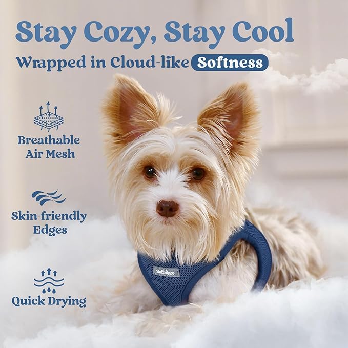 rabbitgoo Small Dog Harness, Step-in Soft Mesh Puppy Vest with Safety Buckle, Breathable Reflective Pet Harness for Small Medium Dogs, Navy Blue XL