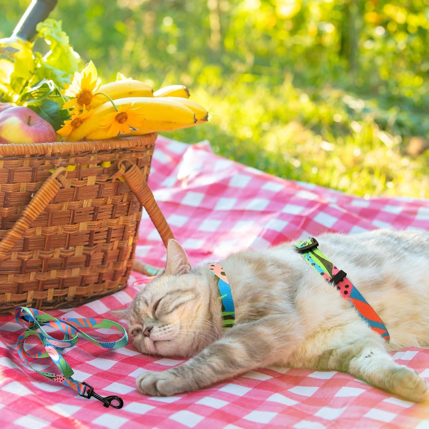 PAWCHIE Cat Harness and Leash Set, Cats Escape Proof-Adjustable Kitten Harness Lightweight Soft Outdoor Walking Travel Pet Safe Harness, Puppy Harness for Girl Cats Bunny Rabbit Small Dog, Green M