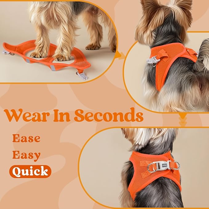 rabbitgoo Small Dog Harness, Step-in Soft Mesh Puppy Vest with Safety Buckle, Breathable Reflective Pet Harness for Small Sized Dogs, Orange M