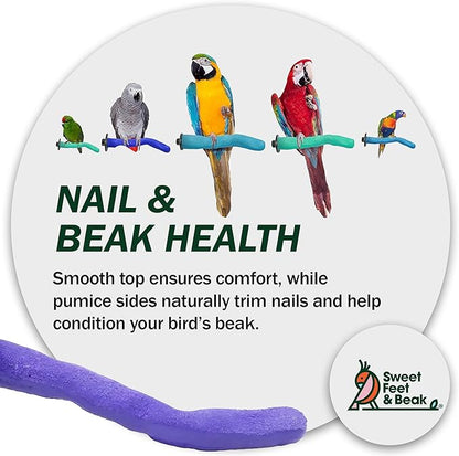 Sweet Feet & Beak Safety Pumice Bird Perch, Large 1-1/2" X 12", Purple - Lightweight Grinding Bird Perches for Cage - Bird Nail Trimming Perch for Healthy Beak & Feet - Multi-Size & Color Parrot Stand
