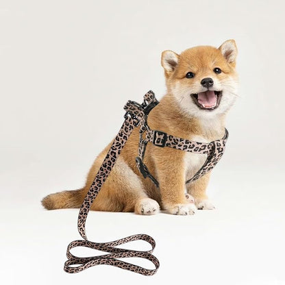 QQPETS Dog Harness Leash Set Adjustable Heavy Duty No Pull Halter Harnesses for Small Medium Large Breed Dogs Back Clip Anti-Twist Perfect for Walking