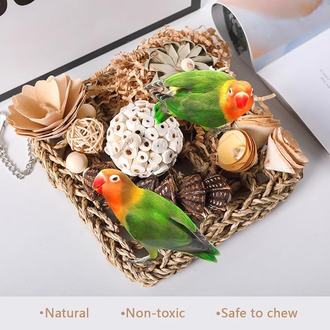 Bird Foraging Toys Natural Bird Toys Conure Toys Parrot Shredding Hanging Toys for Small to Medium Birds Parakeet Cockatiel Conure Lovebird Budgie