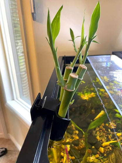 3 Holes Upgraded Aquatic Plant Cup Aquarium Plant Holder for Tank, Hanging Aquarium Plant Holder, Aquarium Aquatic Plant Cultivation, Aquarium Plant Decoration - 1 Pcs Black