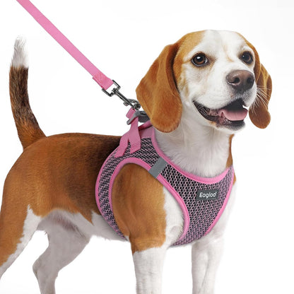 Eagloo Small Dog Harness and Leash Set, Step in Puppy Vest with Breathable Soft Mesh, Walking Reflective Pet Harness for Medium Small Dogs, Pink, M