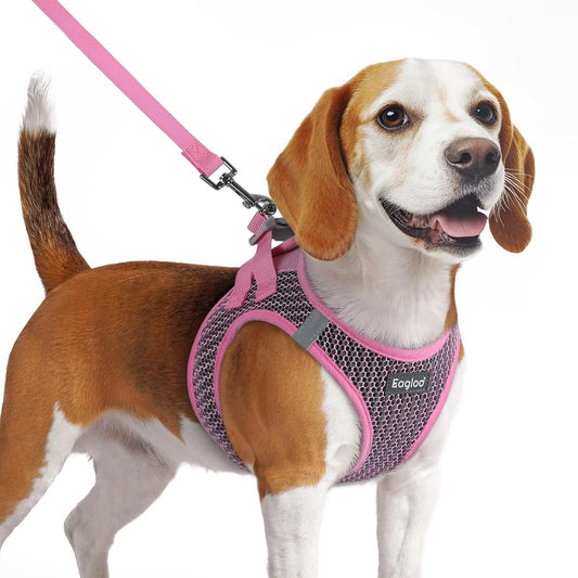 Eagloo Small Dog Harness and Leash Set, Step in Puppy Vest with Breathable Soft Mesh, Walking Reflective Pet Harness for Medium Small Dogs, Pink, M