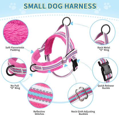 Lukovee No Pull Dog Harness and Leash Set, Soft Padded Small Dog Harness, Neck & Chest Adjustable Reflective Vest Puppy Harness with 4ft Lightweight Anti-Twist Dog Leash for Small Dogs (S, Fuschia)