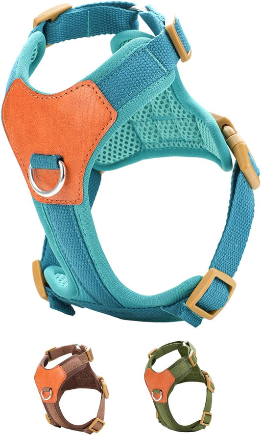Blue XS No Pull Dog Harness for Small Dogs, Anti-Escape Easy Walk Puppy Harness with 2 Leash Clips, Adjustable Dog Vest Harness for Training Walking(Blue, XS)