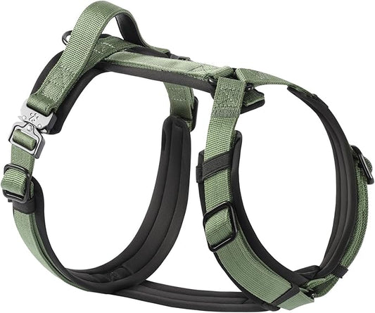 PawsPassion Dog Harness for Medium Dogs, No Pull Dog Harness Easy Walk with Metal Hardware, Ergonomic Y-Shaped Design, Soft Padding, Padded Handle, Durable High-Tensile Nylon (Evergreen, M)