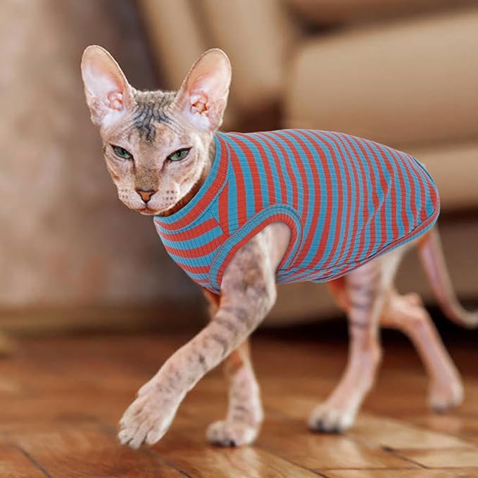 BRKURLEG Hairless Cats T Shirt, Cat Sweaters, Pullover Kitten Shirts, Sleeveless Round Collar Cotton Vest for Cornish Rex Devon Rex Peterbald and Small Dogs Sweater(OrangeBlue Stripes, M)