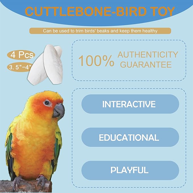 Jmxu's 3.5"-4" Cuttlebone for Birds Parakeets, Cuddle Bone with Metal Holder, Cuttlefish Bone for Sharp Beaks, Natural Birds Calcium for Parrots Cockatiels Tortoises, 4 Pcs
