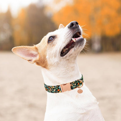 Daisy Fall Cotton Dog Collar with Metal Buckle Gift Autumn Collar for Small Medium Large Girls or Boys Dogs Cute Durable Comfortable Pet Collars