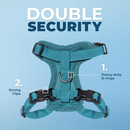 Voyager Step-in Lock Adjustable Cat Harness w. Cat Leash Combo Set with Neoprene Handle 5ft - Supports Small, Medium and Large Breed Cats by Best Pet Supplies - Turquoise, XXS