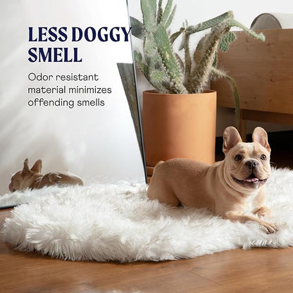 PAW BRANDS PupRug Orthopedic Dog Bed for Large Dogs with Fluffy Soft Faux Fur and Memory Foam for Joint Pain Relief, Machine Washable and Waterproof Couch Bed, White with Brown Accents, Large/XL