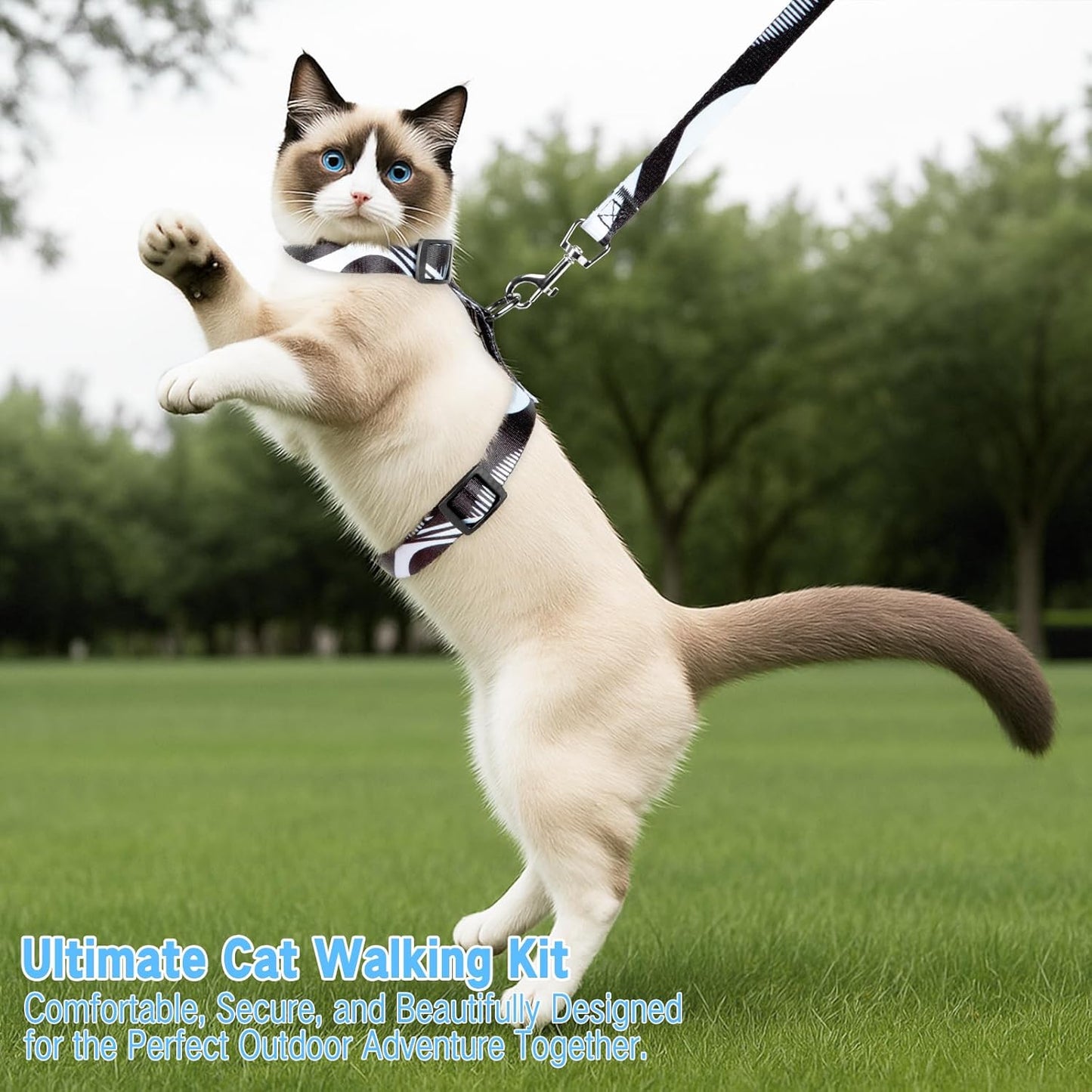 Cat Harness and Leash Set, Escape Proof Cat Harness, Comfortable Soft Lightweight Cat Leash, Use Safe and Easy, Outdoor Walking Travel Kitten Harness for Small Medium Large Cats