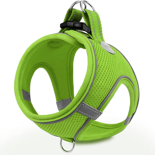 Joytale Small Dog Harness, Breathable Mesh Step-in Vest, Reflective Soft Padded Harnesses for Small and Medium Dogs, Green, L