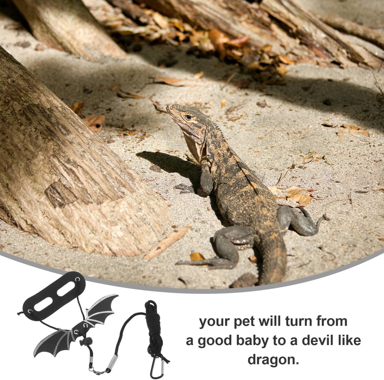 BESPORTBLE Leopard Gecko Accessories Lizard Harness Pet Hauling Cable Reptile Lizard Harness Small Animals Leashes