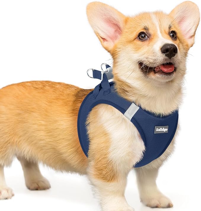 rabbitgoo Small Dog Harness, Step-in Soft Mesh Puppy Vest with Safety Buckle, Breathable Reflective Pet Harness for Small Medium Dogs, Navy Blue L