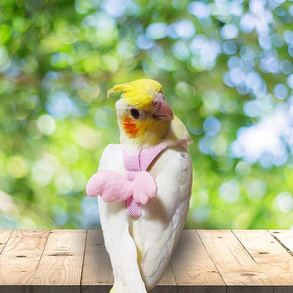 Dnoifne Parrot Harness and Leash, Adjustable Training Design Anti-Bite, Nylon Rope with Cute Wing for Parrots, Suitable for Alexandrine, Scarlet, Keck, Mini Macaw & Same Size Bird (pink)