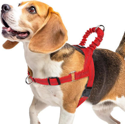PUPTECK No Pull Dog Harness Medium Sized Dog, Adjustable Reflective Pet Vest Harness with Bungee Handle, Escape Proof No Choke Harness for Medium Dogs Walking Training, Red M