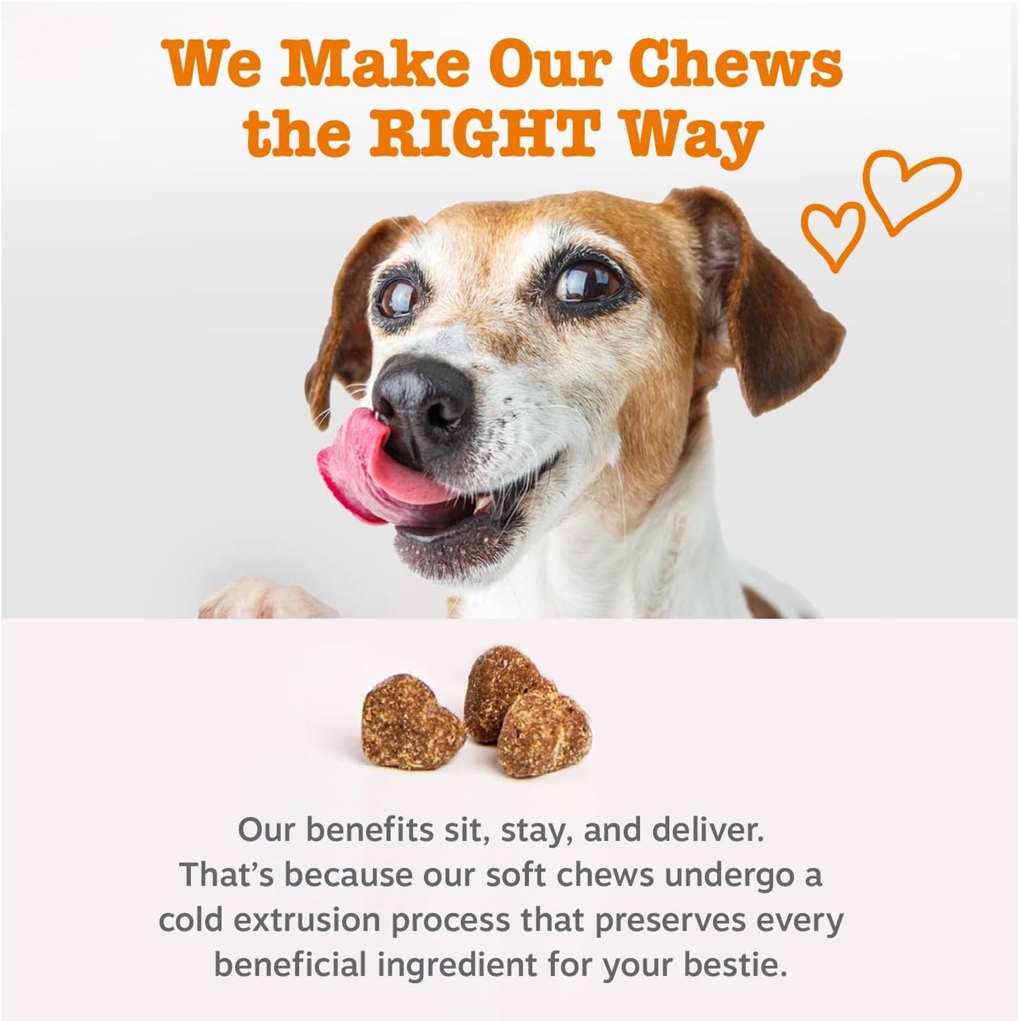 Zesty Paws Vet Strength Dog Allergy Relief Chews, Dog Probiotics for Itchy Skin and Ears, Smoked Cheese, 90ct