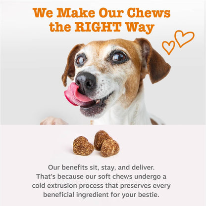 Zesty Paws Vet Strength Dog Allergy Relief Chews, Dog Probiotics for Itchy Skin and Ears, Smoked Cheese, 90ct