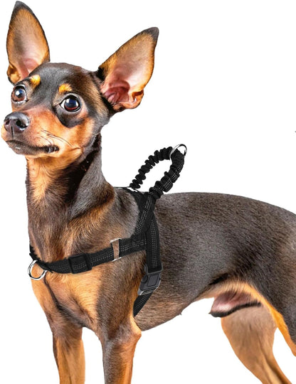 PUPTECK No Pull Dog Harness Small Sized Dog, Adjustable Reflective Pet Vest Harness with Bungee Handle, Escape Proof No Choke Harness for Small Dogs Walking Training, Black XS