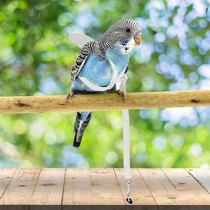Pet Parrot Bird Harness and Leash, Adjustable Training Design Anti-Bite, Bird Nylon Rope with Cute Wing for Parrots, Suitable for Alexandrine, Scarlet, Keck, Mini Macaw Same Size Birds (White)