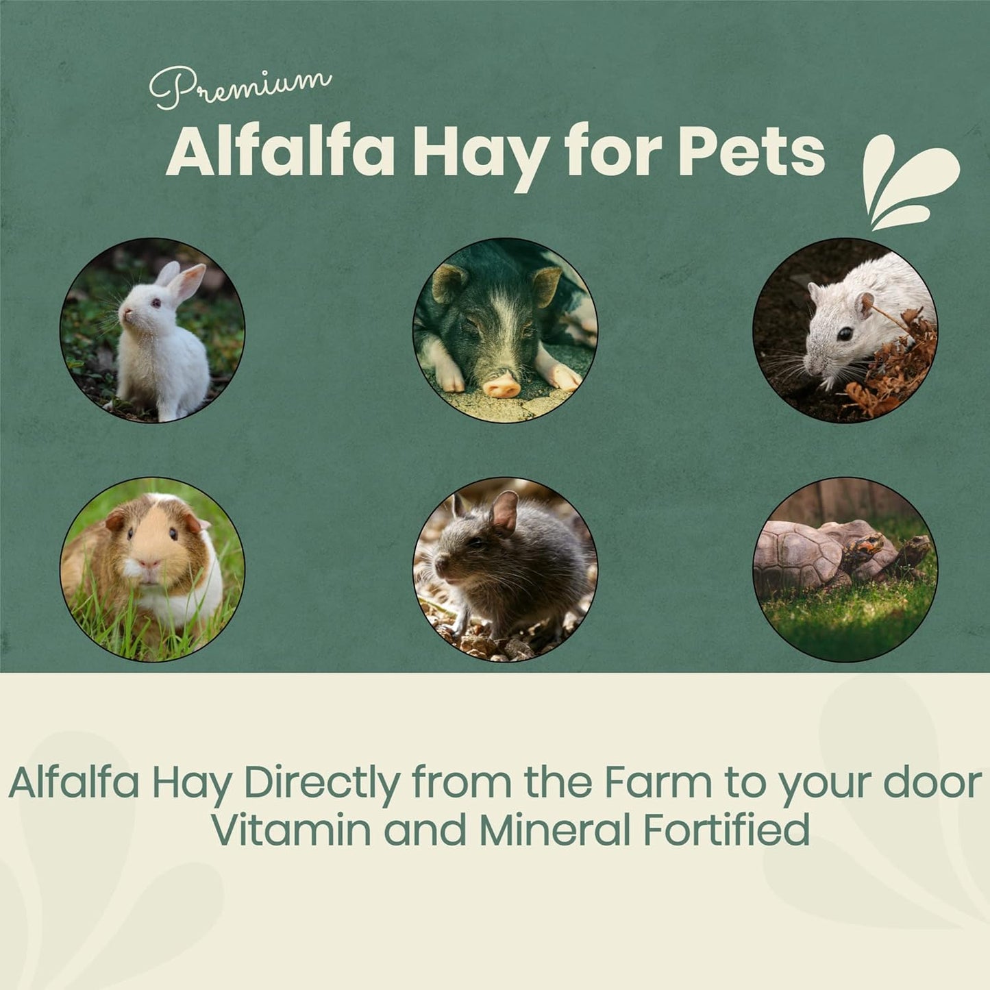 Fresh Alfalfa Hay 20Lbs by Bunny Honey - Natural Hay for Guinea Pigs, Rabbits, Hamsters, Hedgehogs, and More Small Animal Pets - Not Blended, Green Chopped & Delivered Fresh
