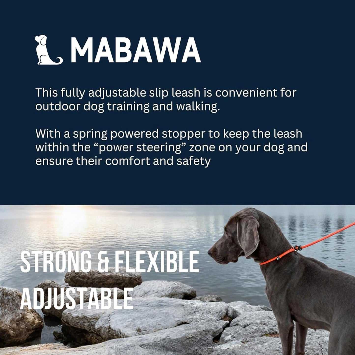 Dog Anti-Slip Leash 5FT with Metal Stopper - Durable No-Pull Training Lead for Small, Medium & Large Dogs - Comfortable Handle Nylon Rope, Tangle-Free Pet Walking Leash (Orange, 5.6FT)