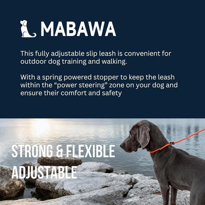 Dog Anti-Slip Leash 5FT with Metal Stopper - Durable No-Pull Training Lead for Small, Medium & Large Dogs - Comfortable Handle Nylon Rope, Tangle-Free Pet Walking Leash (Orange, 5.6FT)