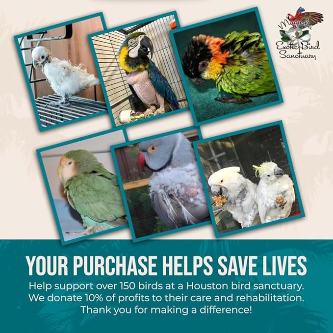 80% Organic Parakeet Food - No Fillers, Fatty Seeds, or Dyes - Budgies, Lovebirds & Parrotlets - Premium Human Grade Seed Mix, Grain & Wholesome Veggies – Made in USA (2 lbs)