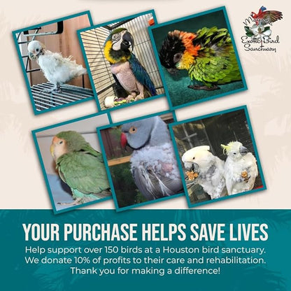 80% Organic Parakeet Food - No Fillers, Fatty Seeds, or Dyes - Budgies, Lovebirds & Parrotlets - Premium Human Grade Seed Mix, Grain & Wholesome Veggies – Made in USA (2 lbs)