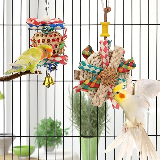 Hypeety Bird Foraging Toys Natural Seagrass Woven Basket Parrot Foraging Chewing Toy with Bell Parakeet Hanging Toys for Cockatiel Sun Parakeet Budgie Lovebirds (2pcs Bite Cake + Woven Basket)