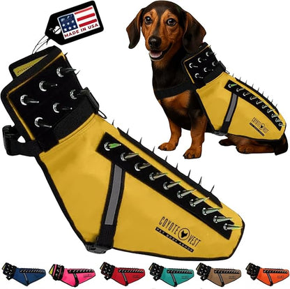 CoyoteVest Dog Harness Protection Vest, Reflective Dog Accessories with Spikes to Shield Your Pet from Raptor and Animal Attacks, Proudly Made in America (Small, Yellow)