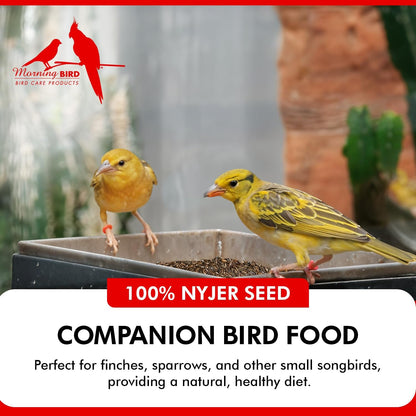 Morning Bird Nyjer Seed for Birds 1.5 lbs – Energizing Nutrition with Rich in Vitamins and Supplements – Ideal Bird Food for Breeding & Molting – Nyjer & Finch Seed for All Birds
