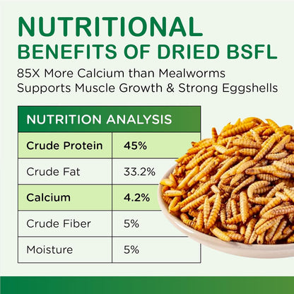 Dried Black Soldier Fly Larvae 5 LB, High Protein Natural Non-GMO More Calcium Than Mealworms Chicken Feed & Bird Food, Treats for Laying Hen, Ducks, Wild Birds
