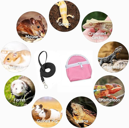 Leopard Gecko Backpack Carrier,Reptile Portable Backpack Carrier with Small Backpack Harness Leash Set,Space Capsule Clear Bubble Window Travel Backpack for Lizard Travel,Guinea Pig,Rabbit