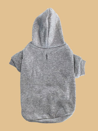 QWINEE Basic Dog Hoodie Sweatshirt Puppy Sweater Warm Cat Costumes Pet Clothes for Chihuahua Puppy Kitten Small Medium Dogs Light Grey Medium